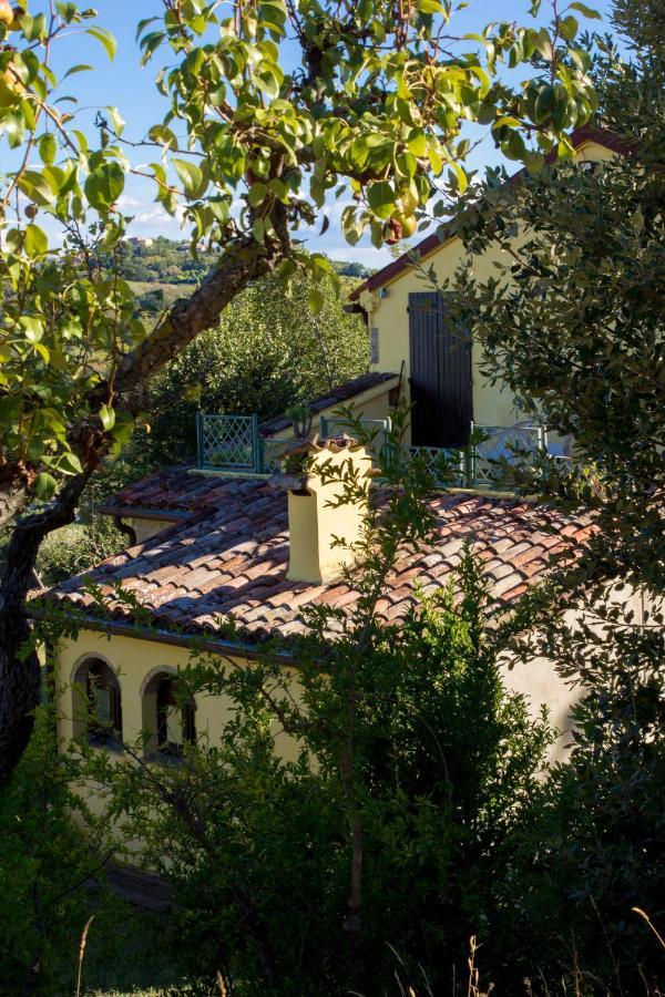פאנו B&B Salvarosa מראה חיצוני תמונה